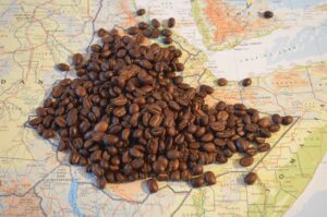 エチオピアコーヒーのメッカ「シダモ」地区のコーヒー​