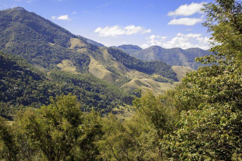 ブラジルコーヒーの歴史と、セラード・ミネイロの地理的表示