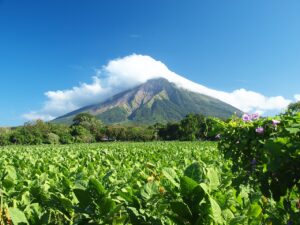 ニカラグアを代表する名門農園産コーヒー