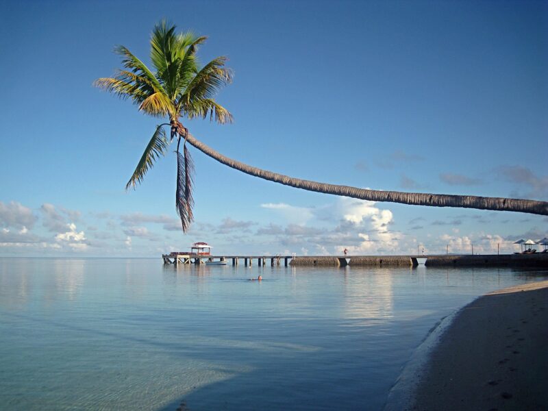 神秘の島から届く、力強く奥深い味わい。セレベス・アラビカ / インドネシア 1 wakatobi 1109722 1280 1